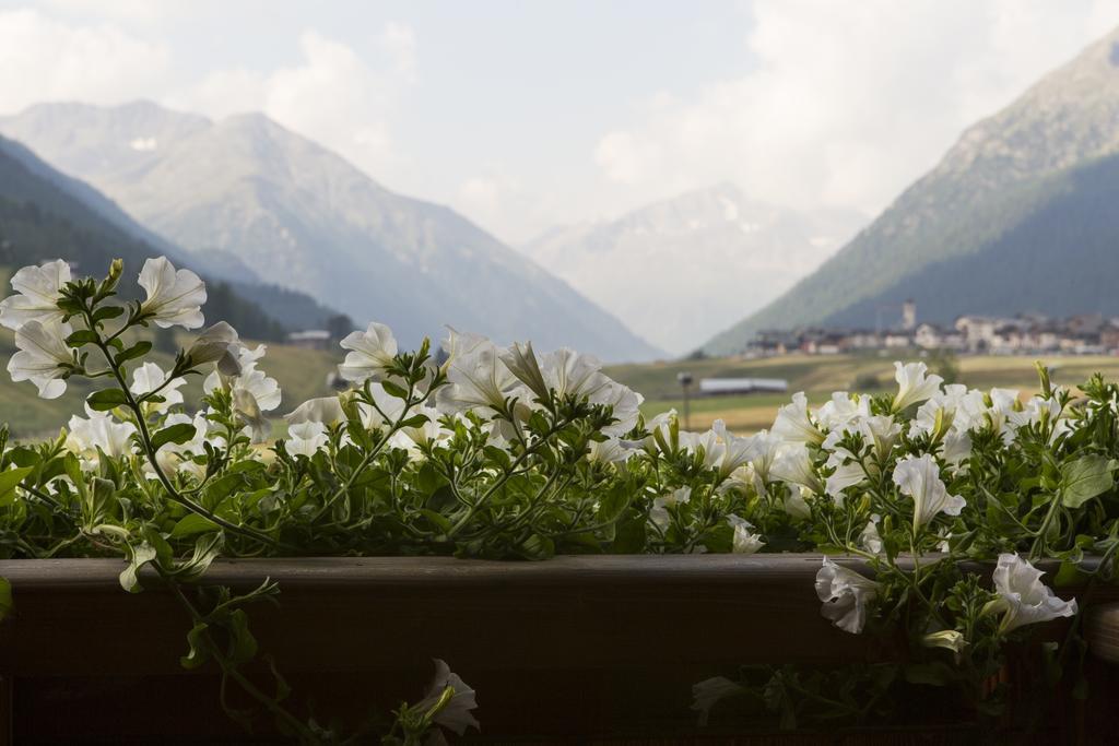 B&B The King Livigno Buitenkant foto